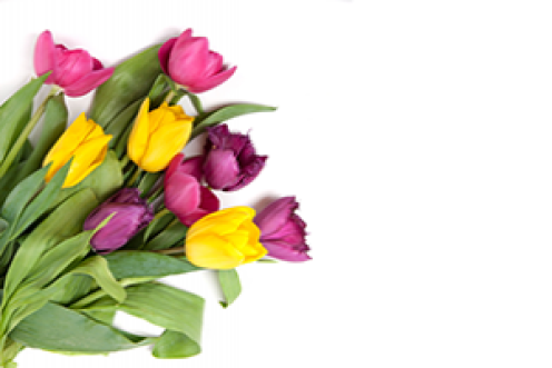 Greetings on 8 March